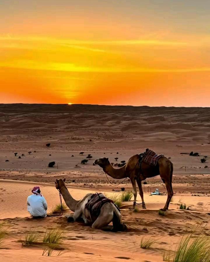 Safari Desert Camp Shahiq Экстерьер фото